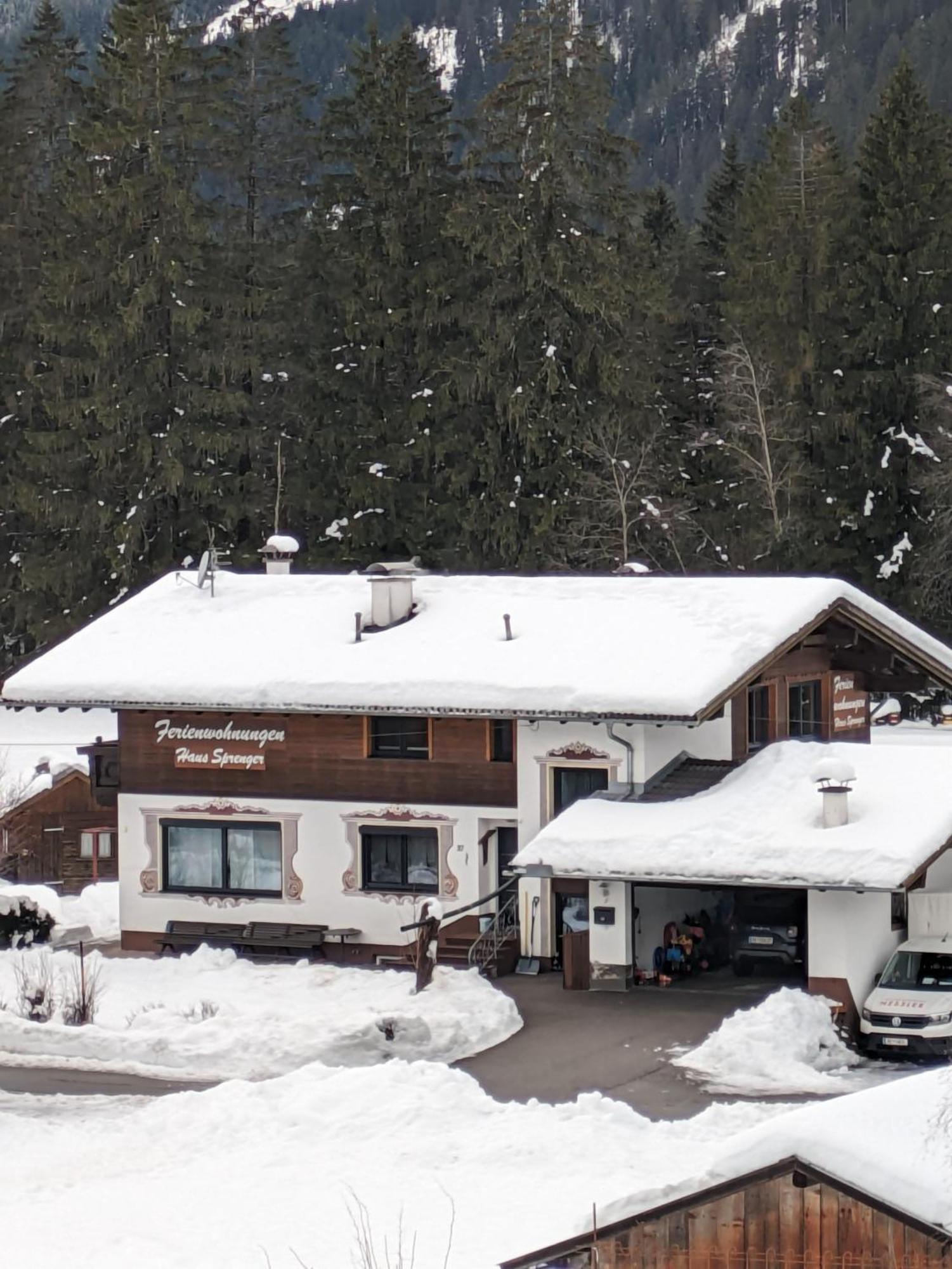 Appartamento Haus Sprenger Häselgehr Esterno foto